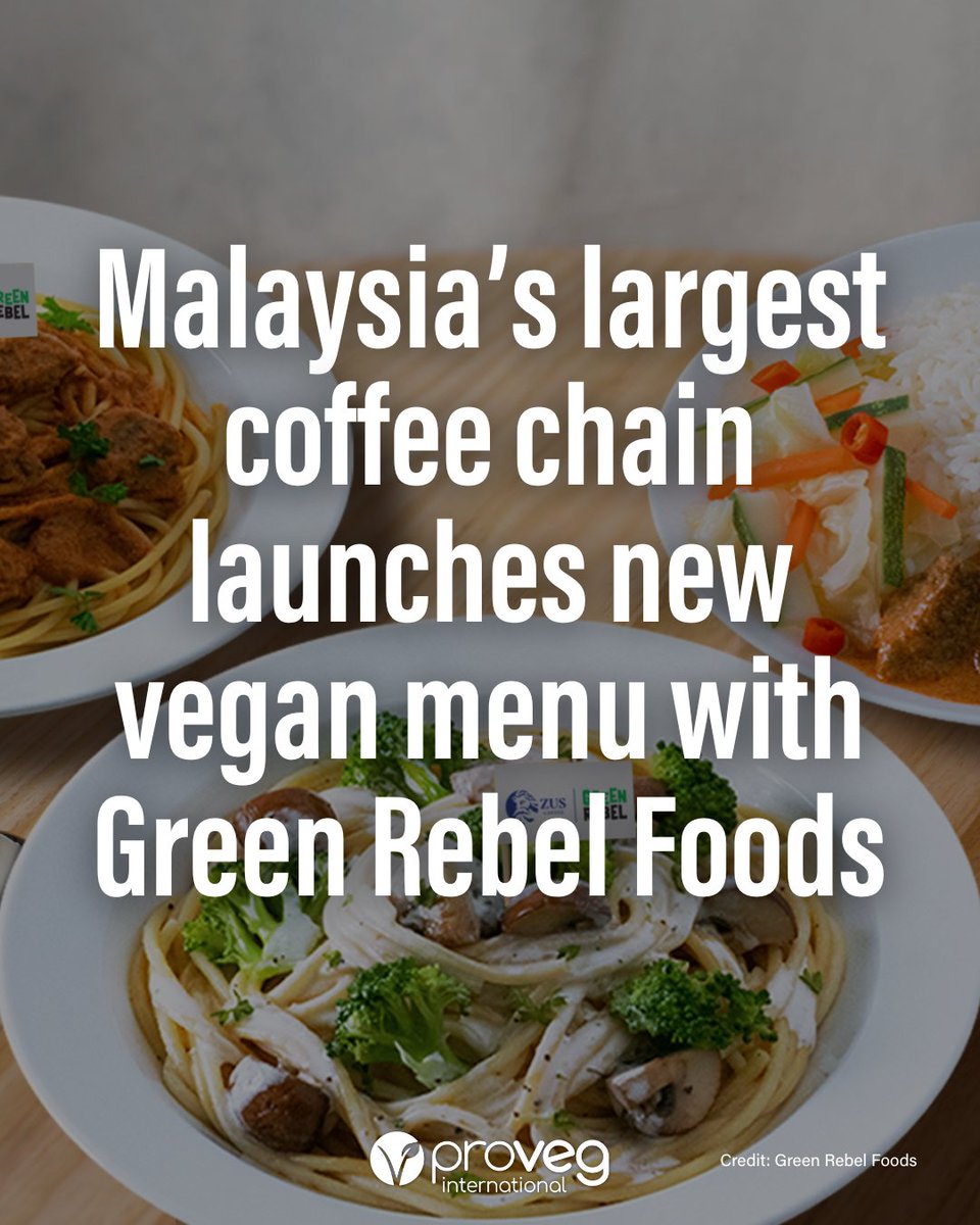 ProVeg_Int's tweet photo. Malaysia's largest coffee chain now has a #PlantBasedMenu! 🌱🍝 @ZUSCoffee, in collaboration with Green Rebel, has officially added new #VeganOptions to their menu, including Nasi Rendang Padang, Rendang Spaghetti, and Creamy Mushroom Truffle Pasta. More: https://t.co/vCIJh6JLAo https://t.co/O1BN2cTycC