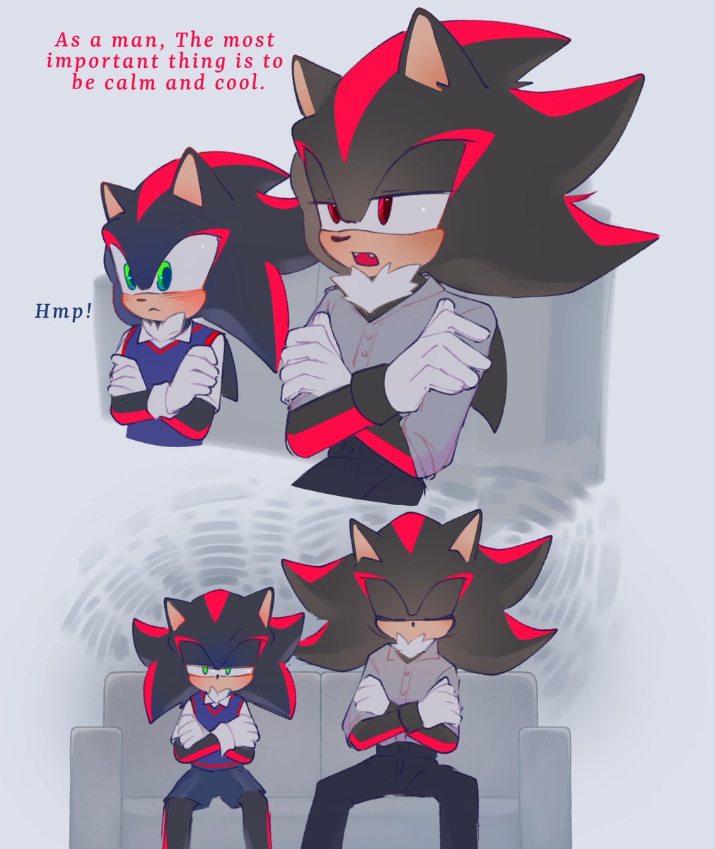 Meoweahh1's tweet image. 🖤:Calm and cool
🩵:Cute Hedgehog 
#sonadow #sonadowfankid #Shadonic