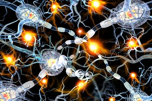 LEAD_Coalition's tweet image. New cause of neuron death in #Alzheimers discovered news.feinberg.northwestern.edu/2024/01/19/new… by @NUFeinbergMed @NorthwesternU
#dementia #health #science