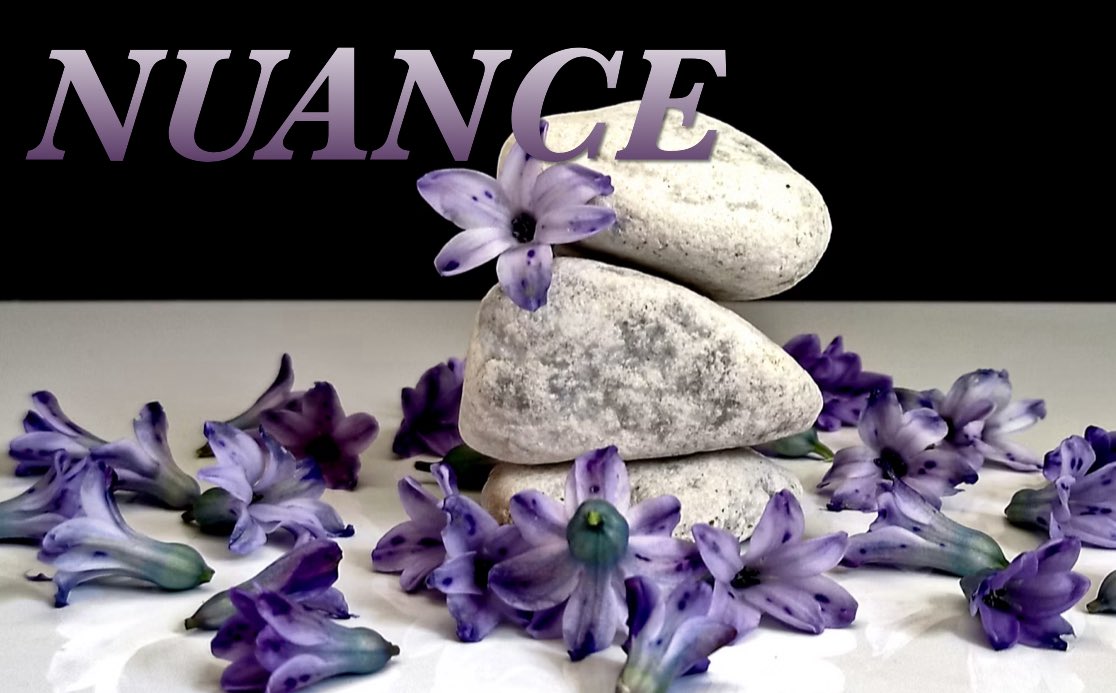 SymphUnchained's tweet image. #UnchainedSymphonies word of the day: Nuance 

Tag #UnchainedSymphonies for retweets💜 

#WritingPrompts