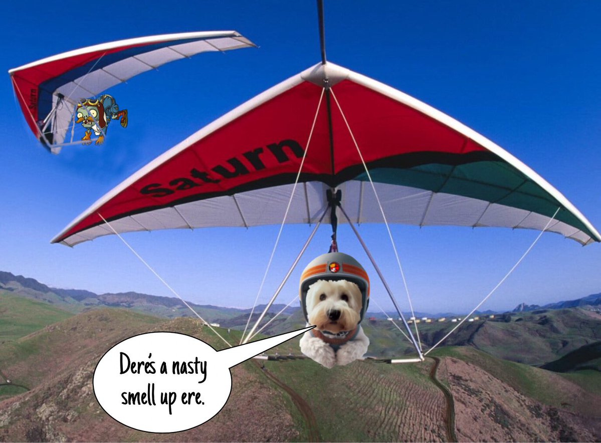 Helen09Porter's tweet image. Me iz flyin like a bird. Me fort de air woz posed to be fwesh up ere, not stinky #zzst