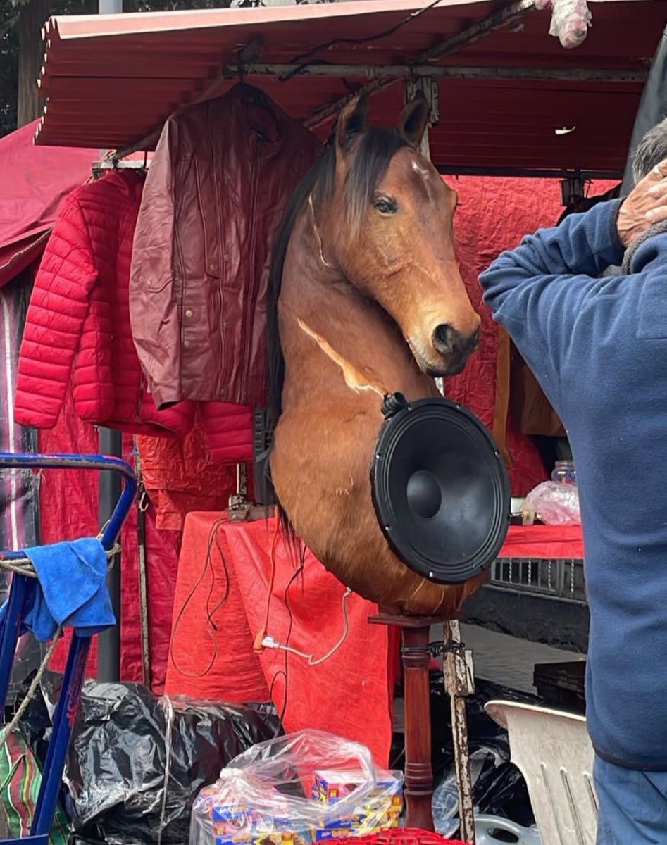 gente vendiendo cosas (@gentevendiendoc) on Twitter photo 