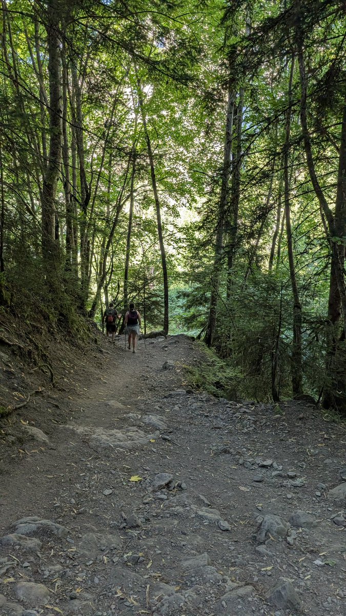 il Turista Viaggi (@ilturista_info) on Twitter photo Montagna d'estate:
Francia 👉 Les2Alpes 👣
Da Venosc partono sentieri che si allungano nel Parco Nazionale des Ecrins. Una piacevole passeggiata di circa 15 minuti (in salita, scarpe comode) vi porta alla cascata de la Muzelle. #explorefrance <a href="/IT_AtoutFrance/">@IT_AtoutFrance</a> <a href="/BarbaraLovato1/">Barbara Lovato</a> Montagna d'estate:
Francia 👉 Les2Alpes 👣
Da Venosc partono sentieri che si allungano nel Parco Nazionale des Ecrins. Una piacevole passeggiata di circa 15 minuti (in salita, scarpe comode) vi porta alla cascata de la Muzelle. #explorefrance <a href="/IT_AtoutFrance/">@IT_AtoutFrance</a> <a href="/BarbaraLovato1/">Barbara Lovato</a>
