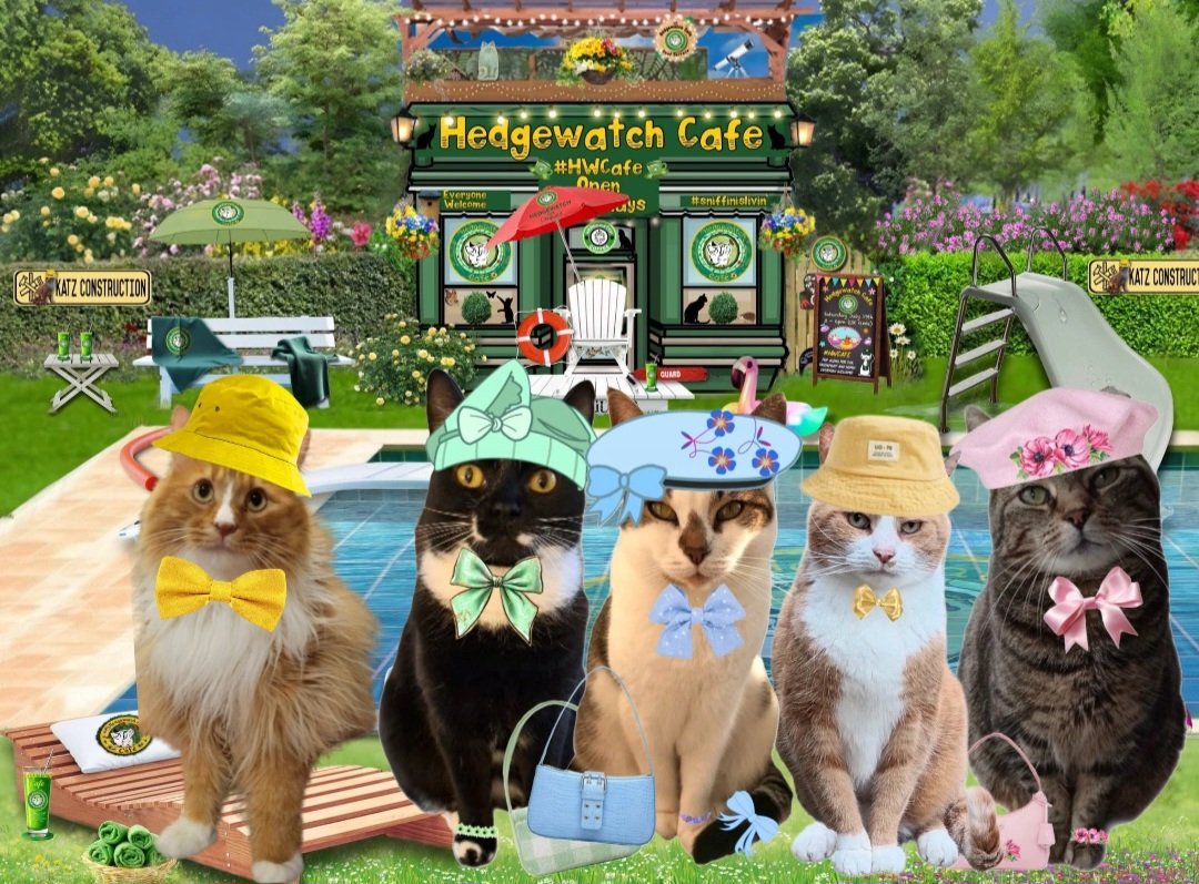 Hi furiends #HWCafe! Did someone jump into the pool already? 😸
<a href="/tiggy_deni35304/">Tiggy & Denise(Mum)</a>
