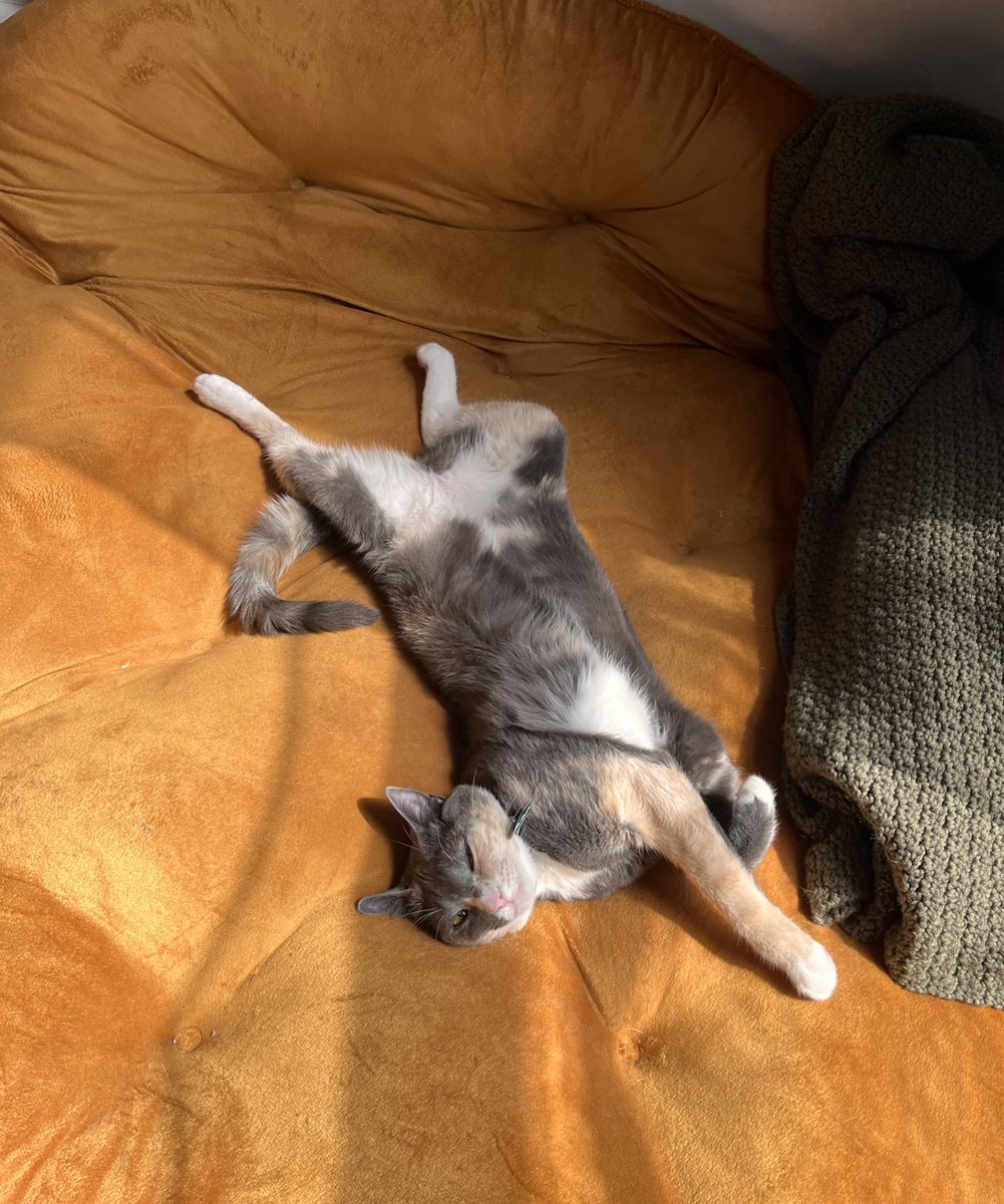 garfbot2000's tweet image. is that comfortable girl