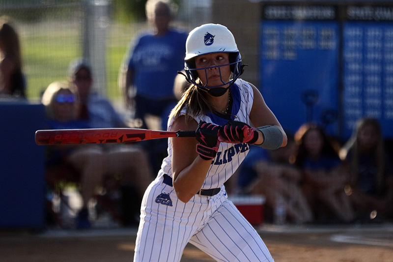 Looking Back at the Best of the Softball Regular Season in the Your Prep Sports Area - Your Prep Sports yourprepsports.com/2025/07/18/loo…