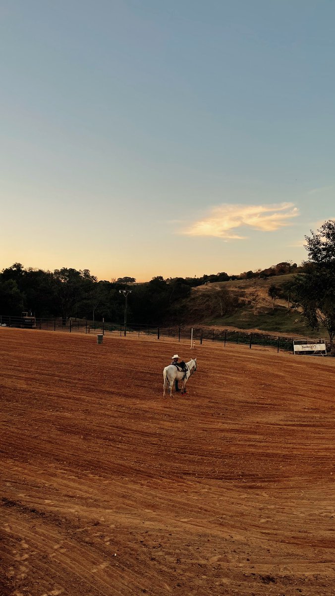 renan_estivan's tweet image. 🏇