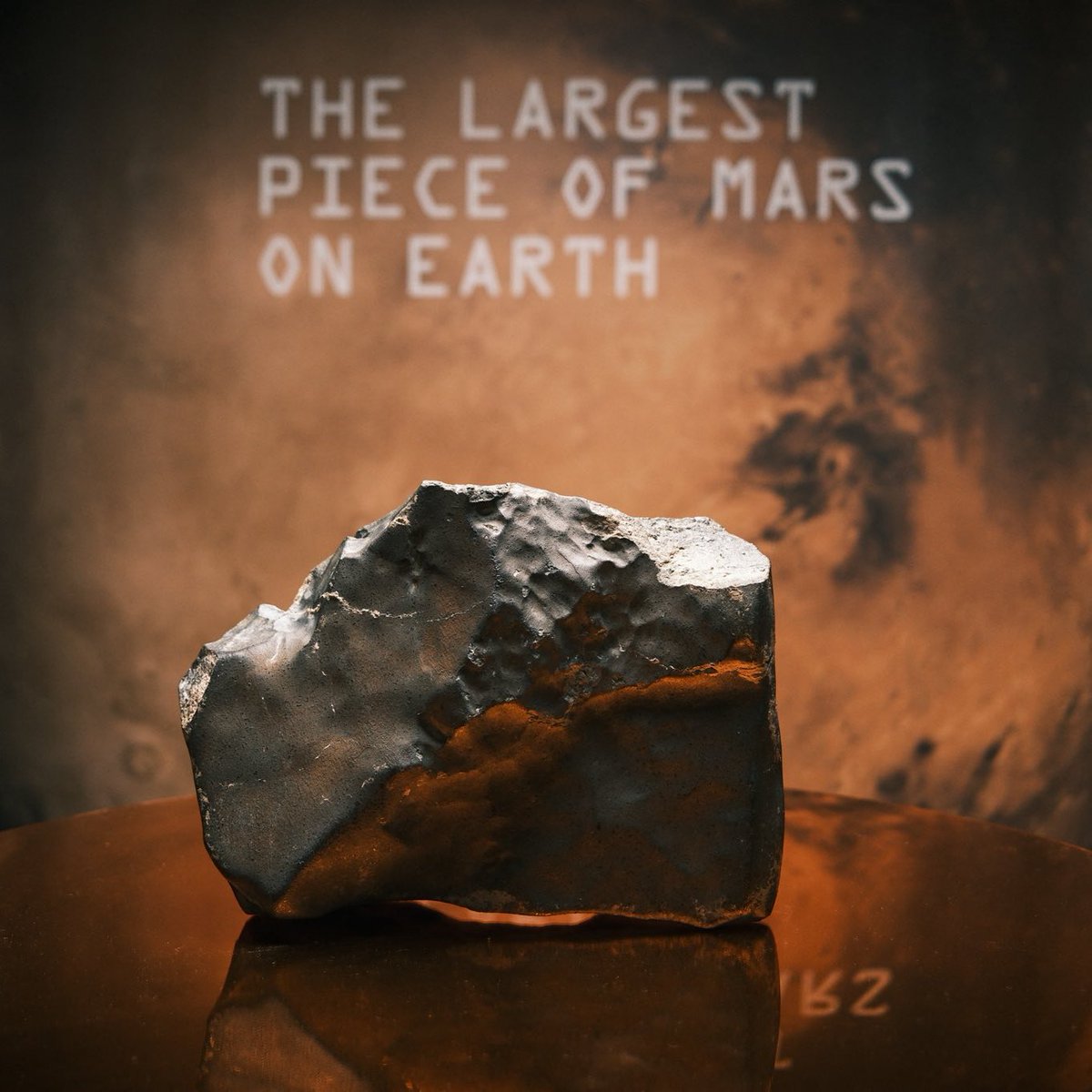 latestinspace's tweet image. This is the largest piece of Mars rock we have on Earth
It just sold for $5.3M 💰