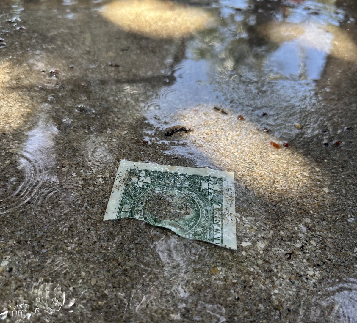 SpareParts_Sol's tweet image. The bull market is upon us….
The future of digitized currency is inevitable…
Wait, is that the right word?