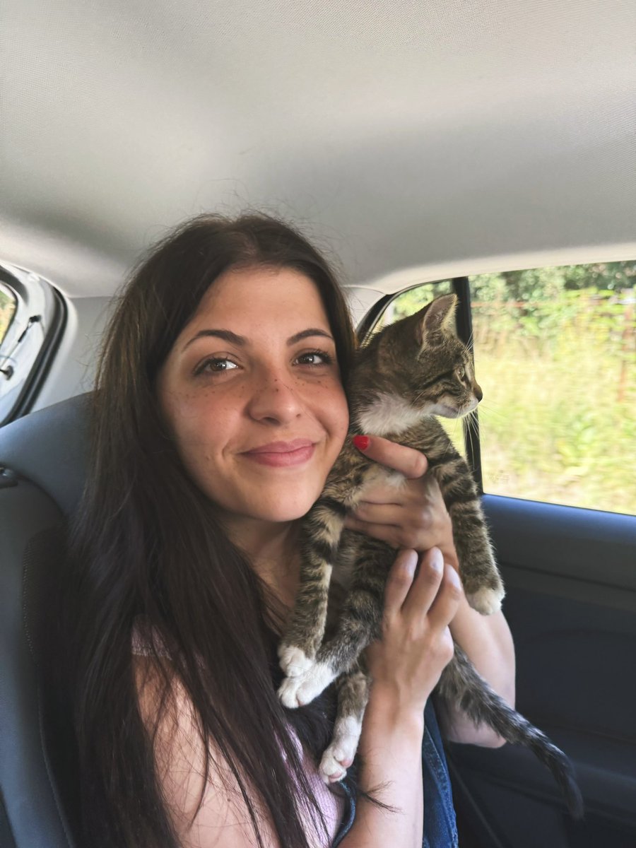 LinuxSeb's tweet image. KITTTYYY!