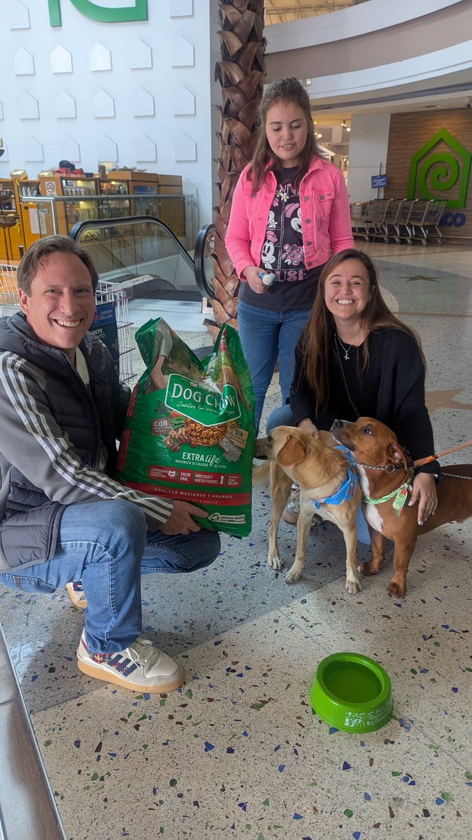 guatexanimales2's tweet image. Feria de adopción en CEMACO zona 10 gracias a Purina Dog Chow Centroamérica por su apoyo y al grupo de voluntarios por apoyar a promover las adopciones.
#voluntarios 
#feria #AdoptaNoCompres