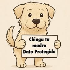 Emilianotoon's tweet photo. @DianaKarinaBa Eso lo hubieras hecho sin necesidad de involucrar a una autoridad pero tú ego no te lo permite y preferiste humillar a una ciudadana que solo expreso su opinión aunque claro, es más que cierto que única cualidad para ser diputada es porque tú esposo fue un senador. https://t.co/WQ0684UZfs