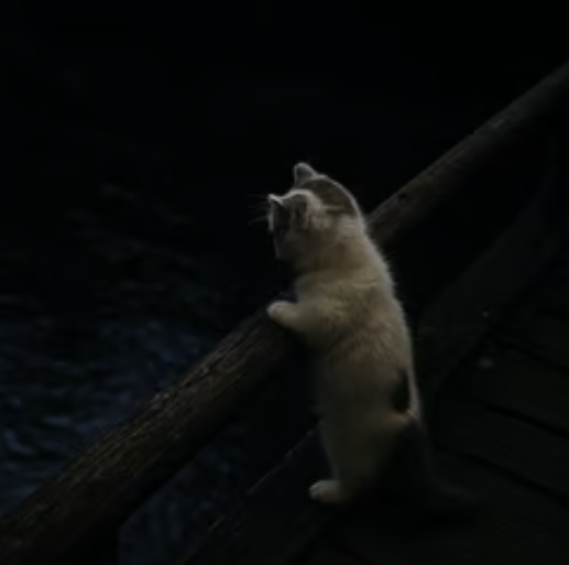 conviction isnt always enough