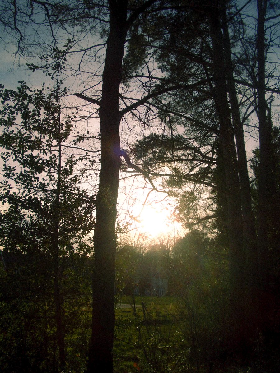 agilidan's tweet image. Old pics with my old cam