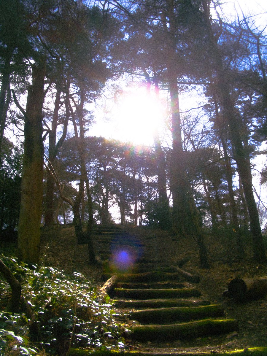 agilidan's tweet image. Old pics with my old cam
