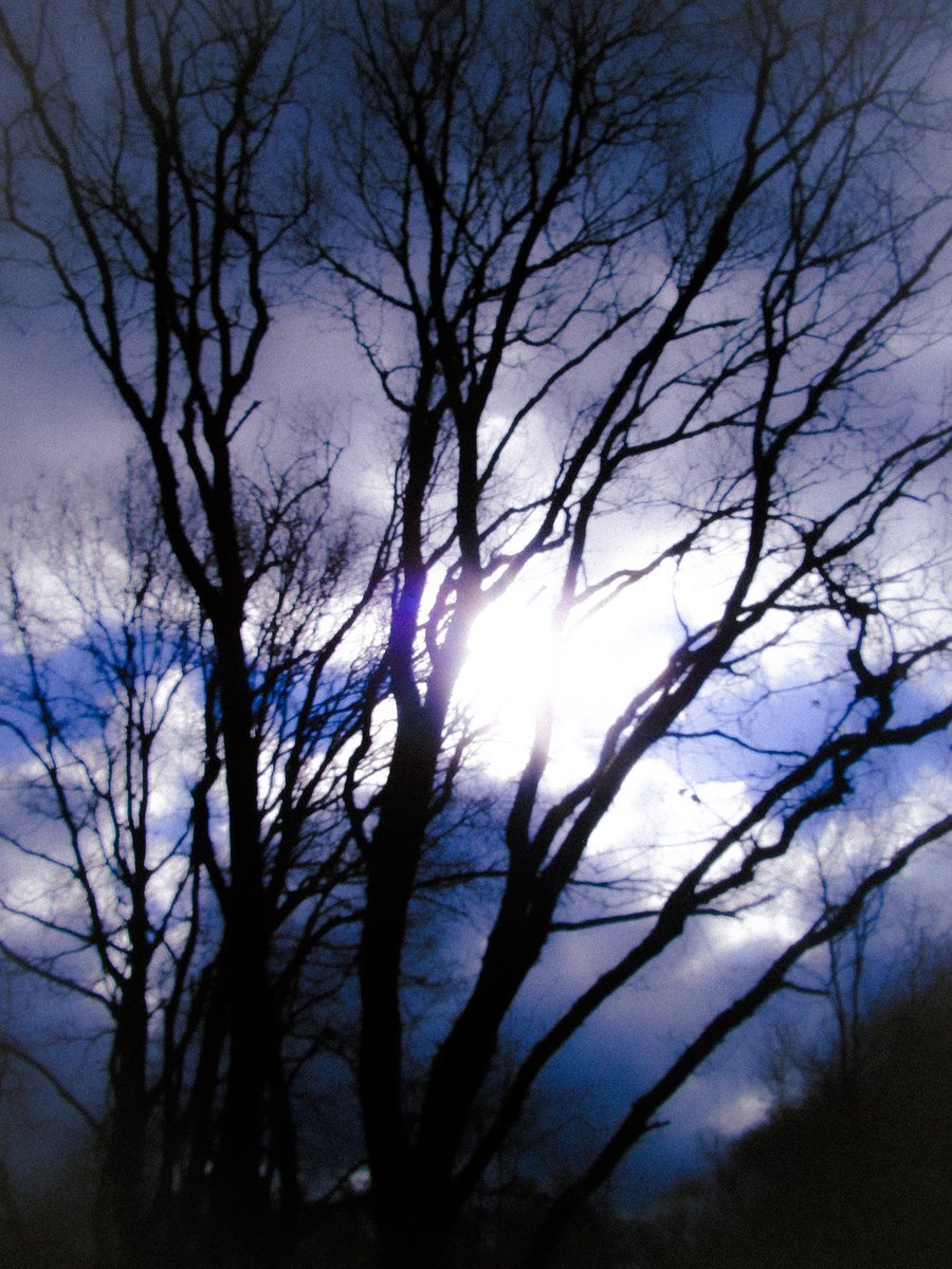 agilidan's tweet image. Old pics with my old cam