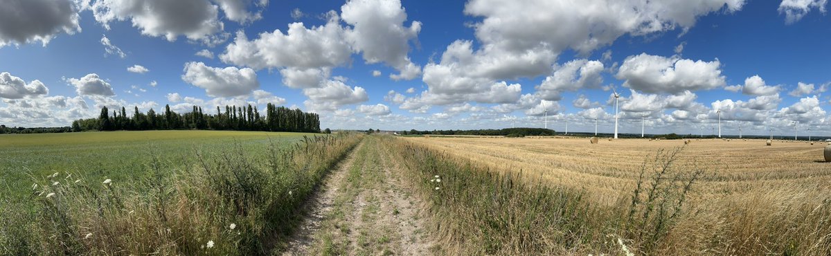 snealspace's tweet photo. Apart from farmers inspecting crops, patiently waiting for us to get out of the way, all was quiet on the small Audregnies battlefield this week. So different from 1914 when for a short time there was mayhem: an artillery duel, a cavalry charge - &amp; courage on both sides. https://t.co/Y9RB9LDMSg