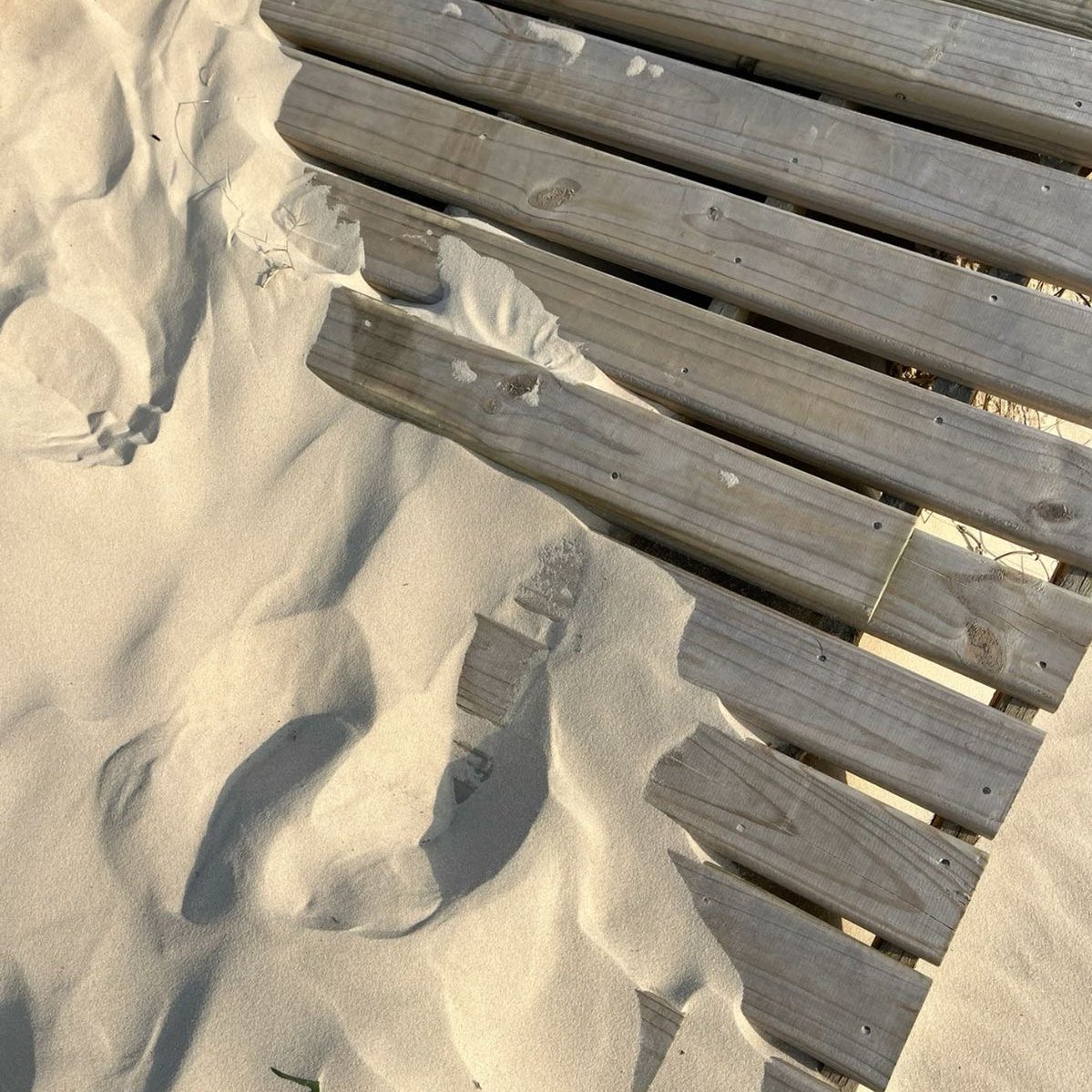 CARTIERANG3L's tweet image. coastal