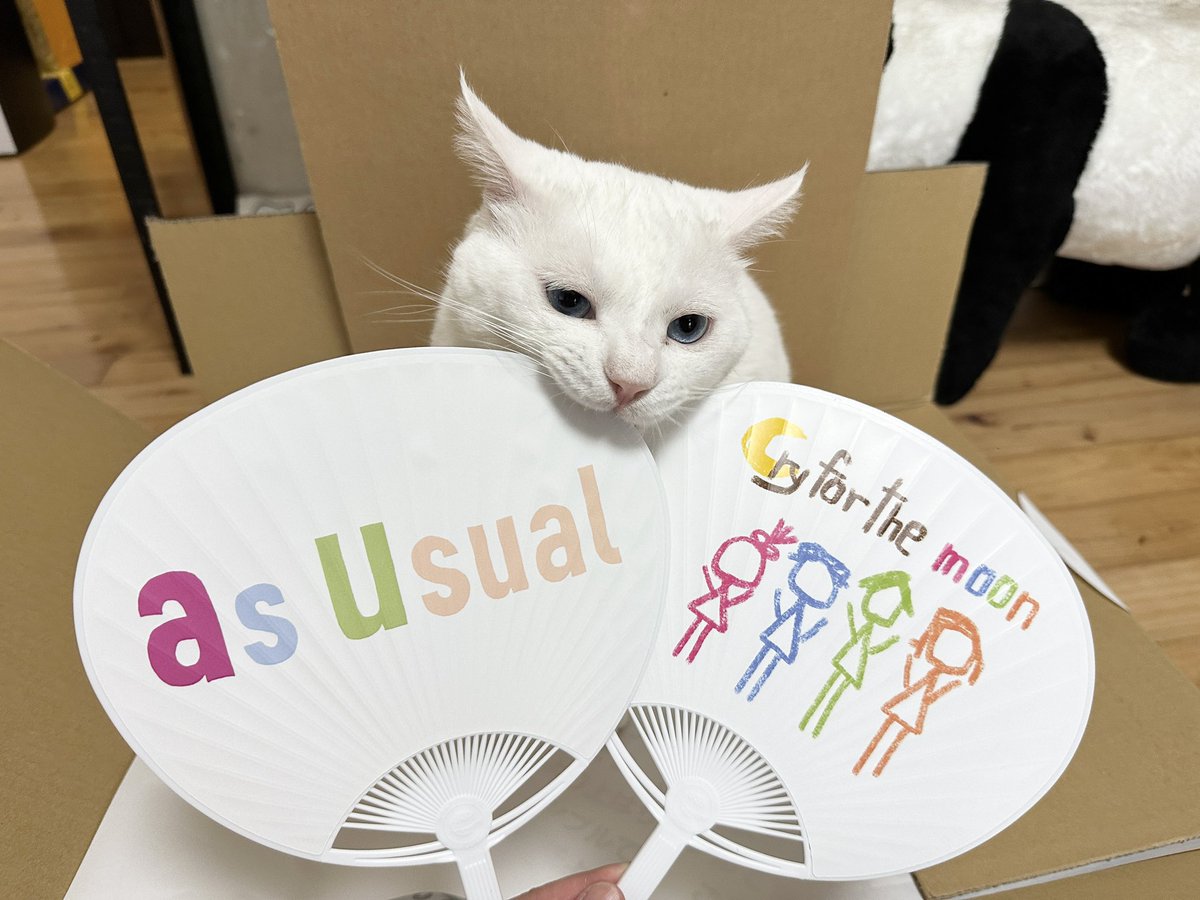 asusual_asusual's tweet image. さぁて！
いよいよワンマンライブ当日だぜー！
気合い( °̀ﾛ°́)و

みんな楽しんでねー！
