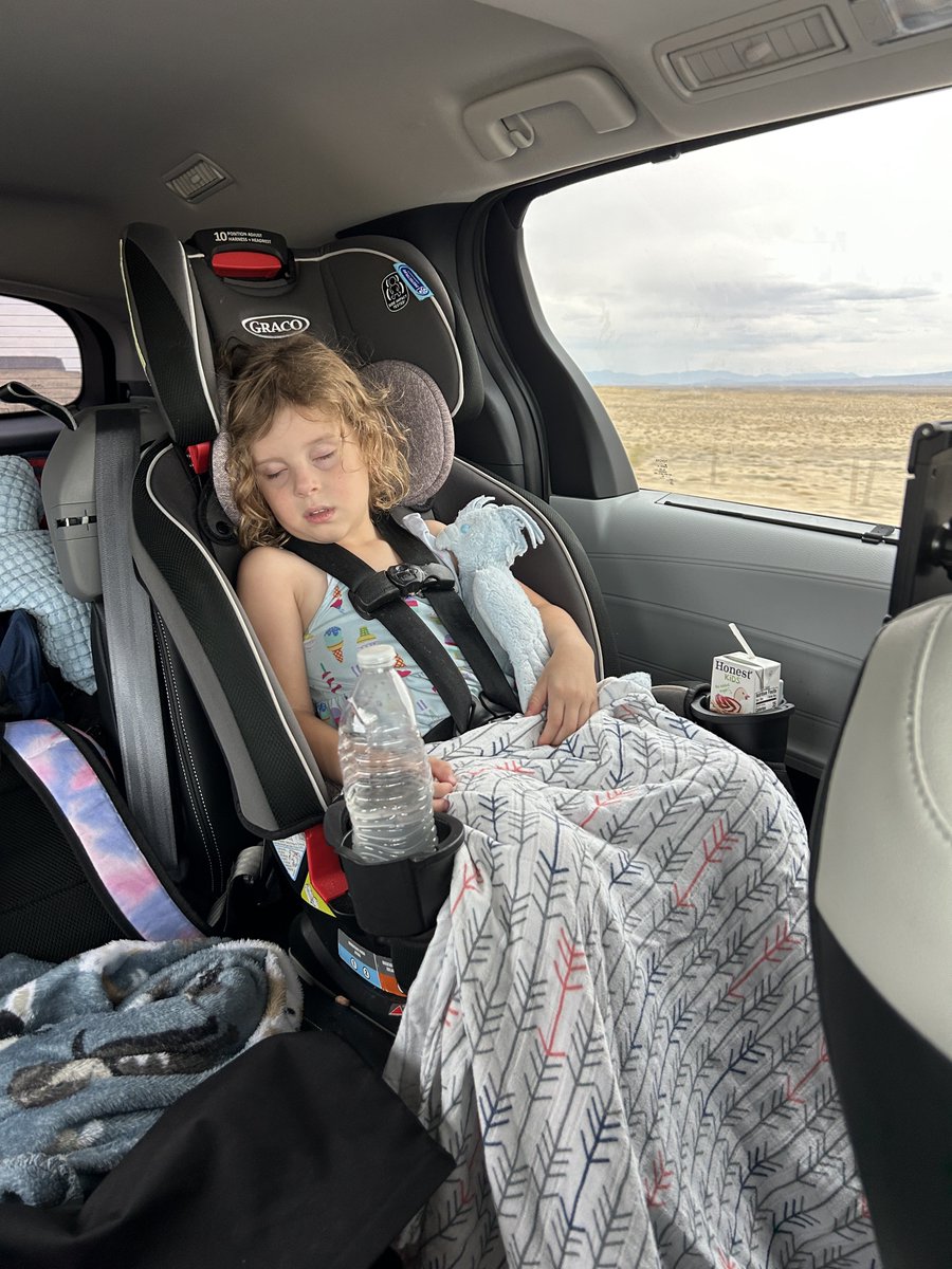 DesiraeC93's tweet image. This is what you call a parental win. 🙌🏼When your rambunctious child, who just left lunch screaming and crying that she couldn’t play more at the play place, is finally passed out for a bit. Early wake ups and 10-12 hours straight driving in the car aint for the weak lol. They’re…