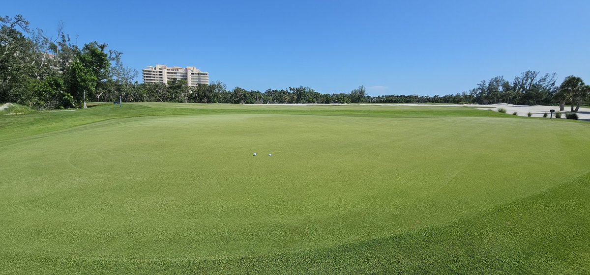 john reilly tweet media