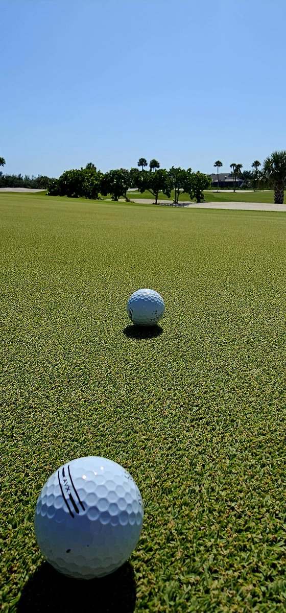 john reilly tweet media