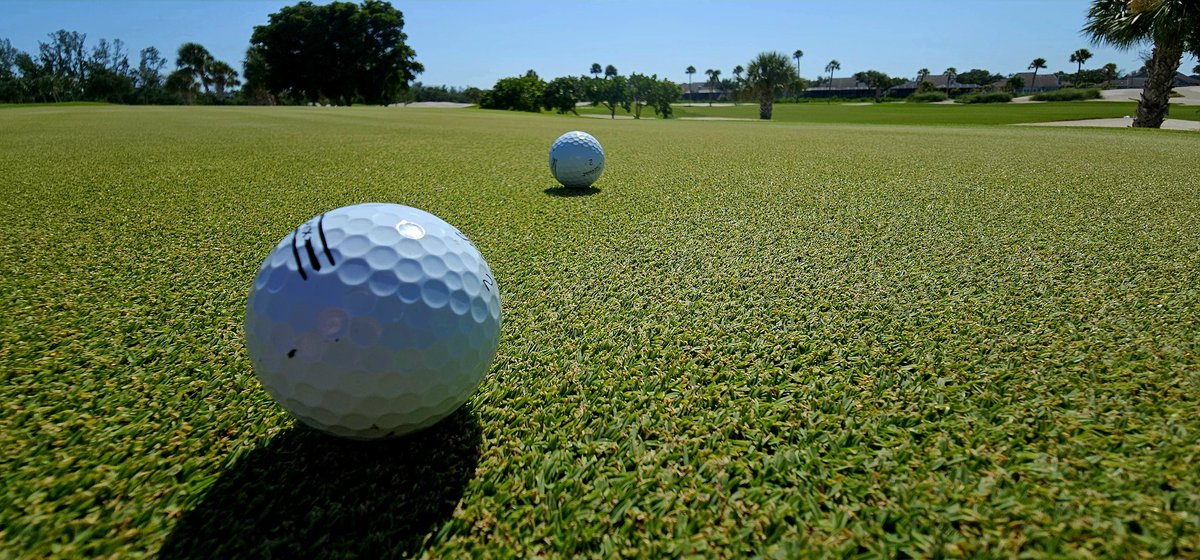 john reilly tweet media