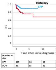 JNeurooncol's tweet image. Fiedler et al. analyzed the CPT-SIOP registry for pediatric choroid plexus papilloma, revealing that incomplete resection and the “pediatric B” molecular subgroup are key risk factors for progression, particularly in aCPP cases. #JNO
Read more:link.springer.com/article/10.100…