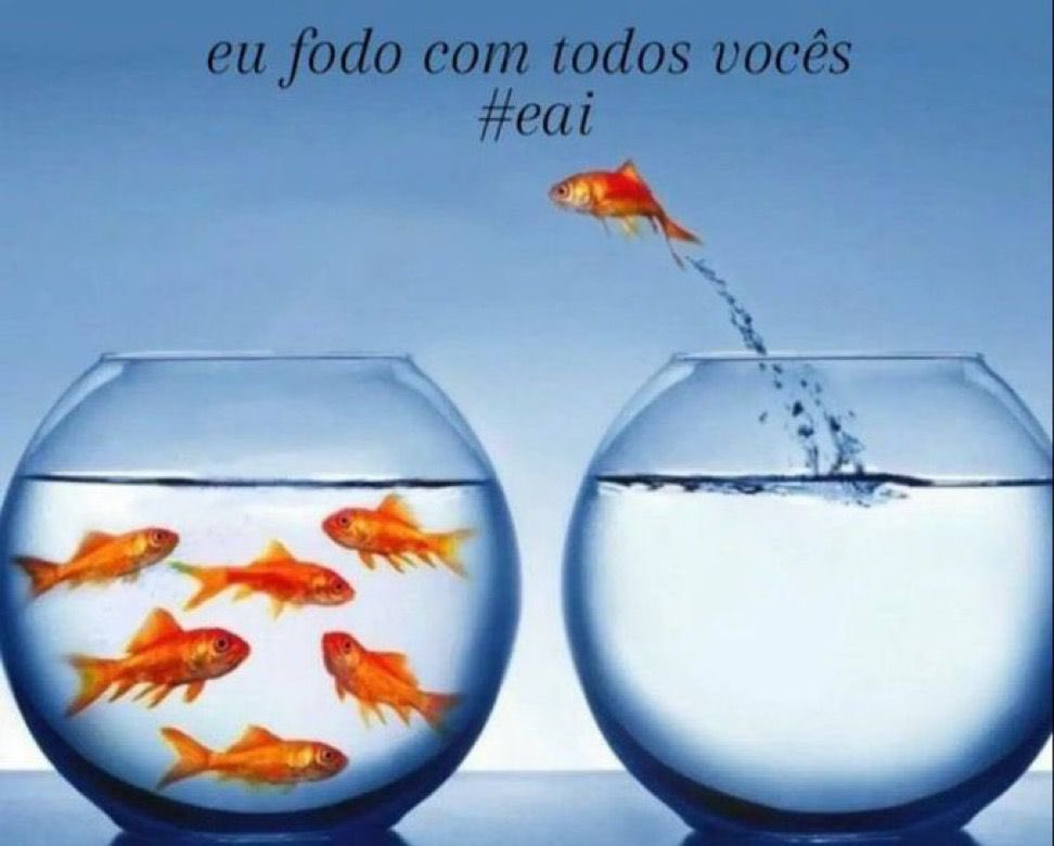 Louckey2's tweet photo. @leletuiu @Riguerrp @Corujaink https://t.co/TNnQ1JO801