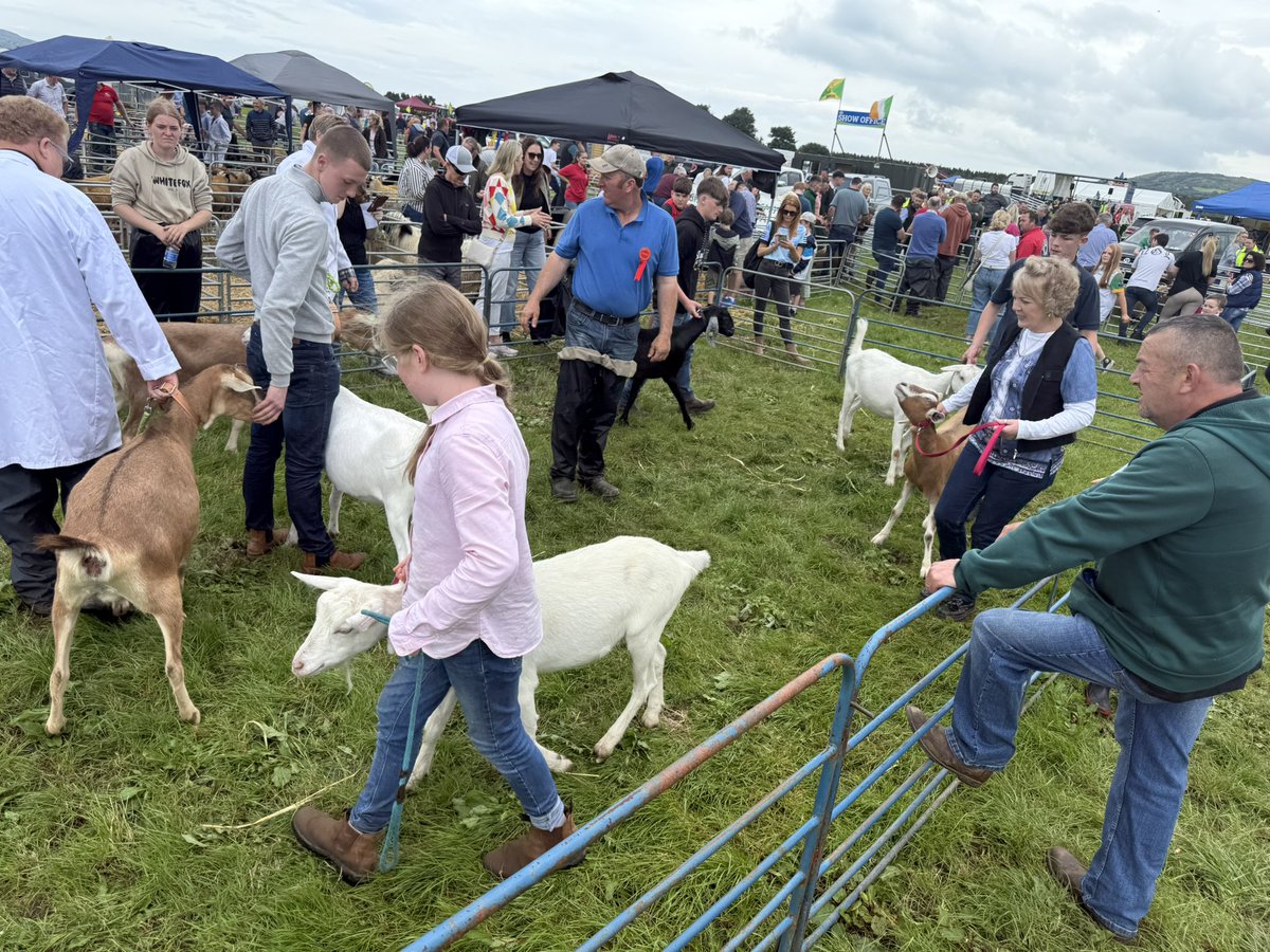 McConalogue's tweet image. Well done to all at Inishowen Agricultural Show on another great annual show today in Carndonagh