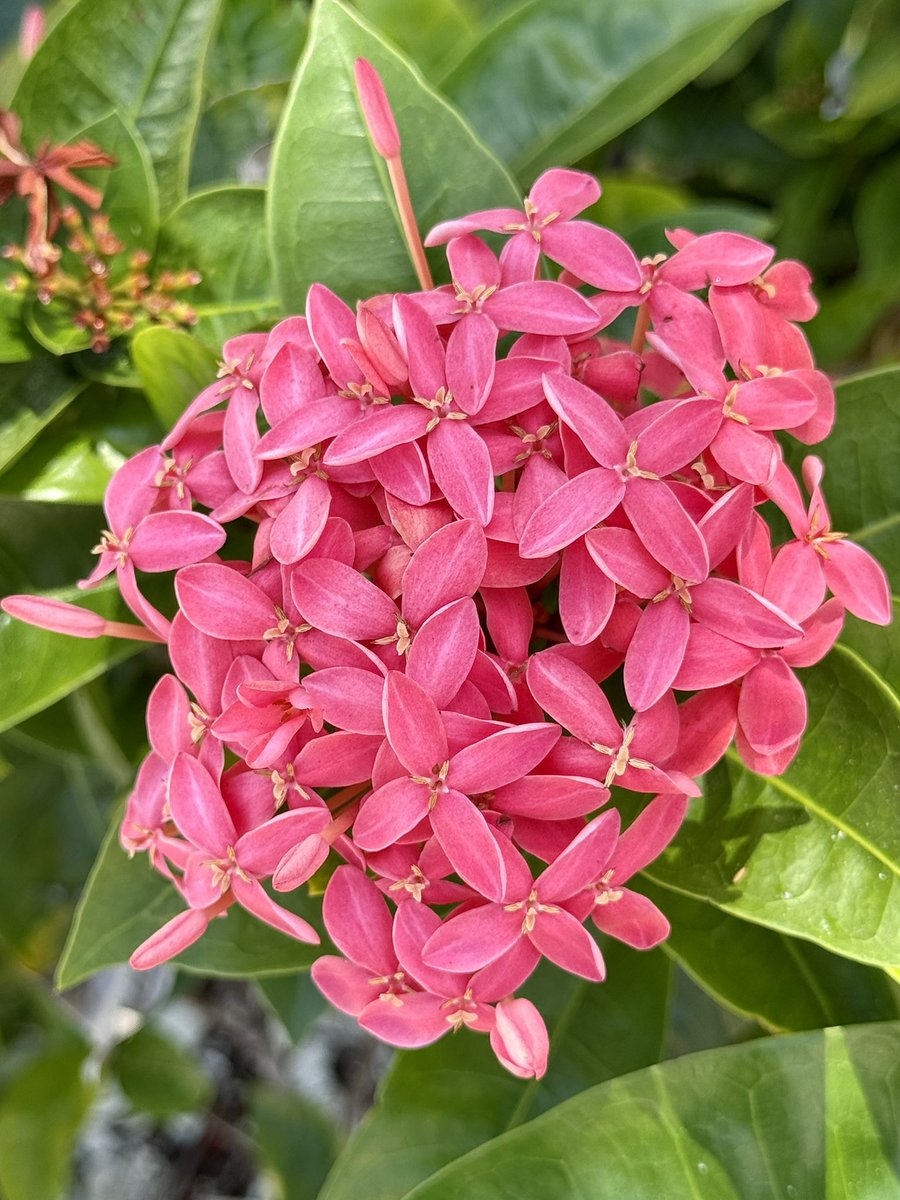 Collabor8tor's tweet image. 