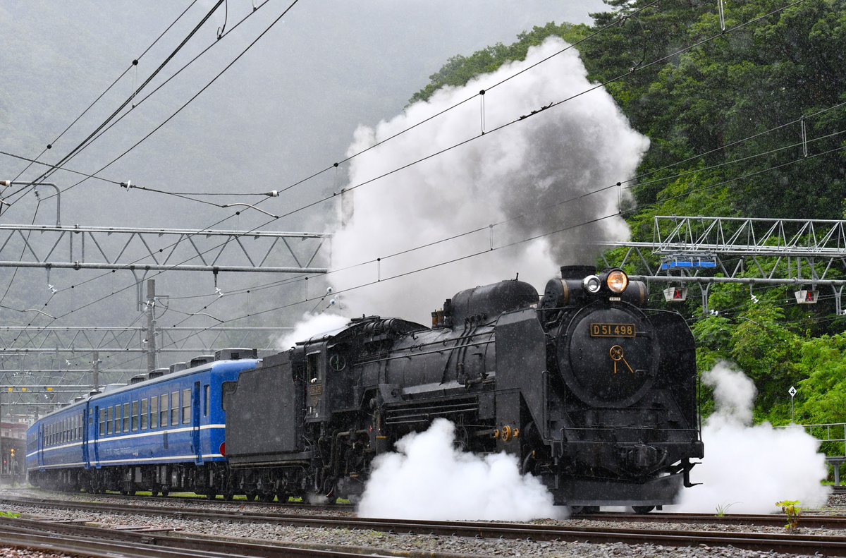 sh31 奇跡的発見 幻の蒸気機関車 デコイチ D51828 ナンバープレート