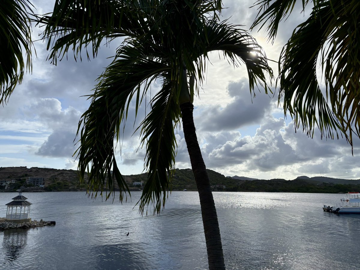 RodLacroix's tweet image. Saint James Club Royal Suites in Antigua. This is our room and view.
Happy boy rn.