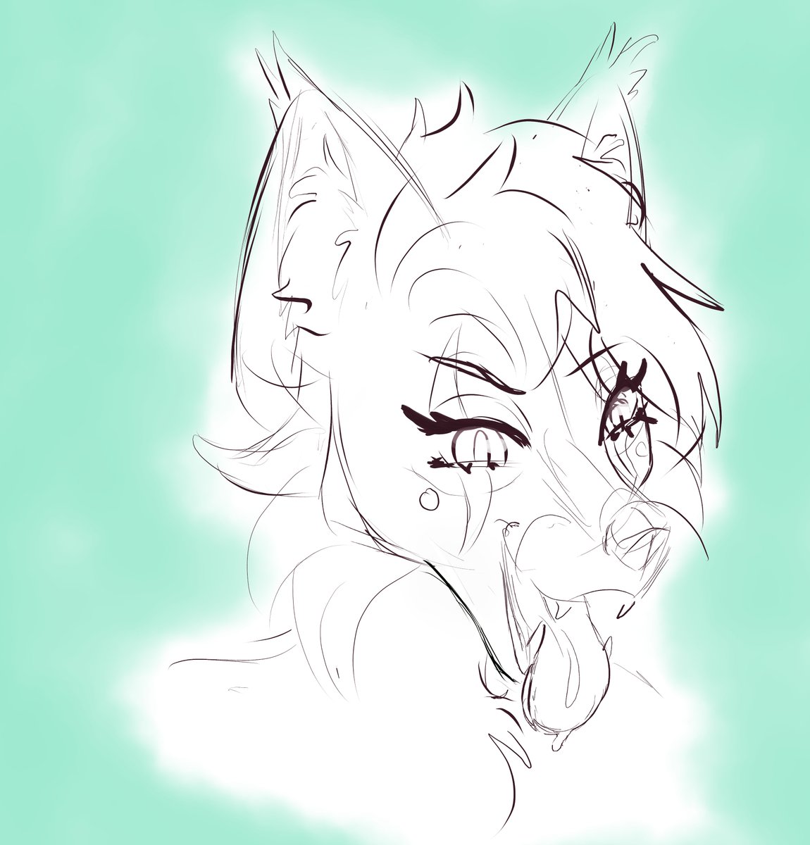 Okami 🐺Vartist tweet media