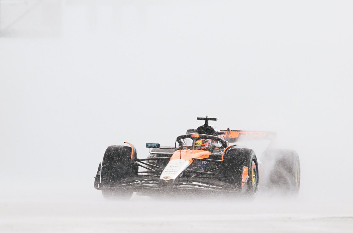 81PIACORE's tweet photo. okay but this picture of oscar in the rain goes really hard https://t.co/lXZIAUsej7