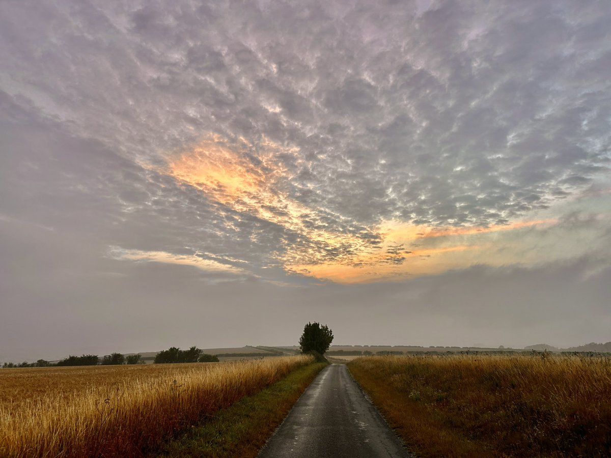 WeatherWolds's tweet image. The End Of A Wet Day. 16°C and mist descending. A Blackbird singing 🐦⬛