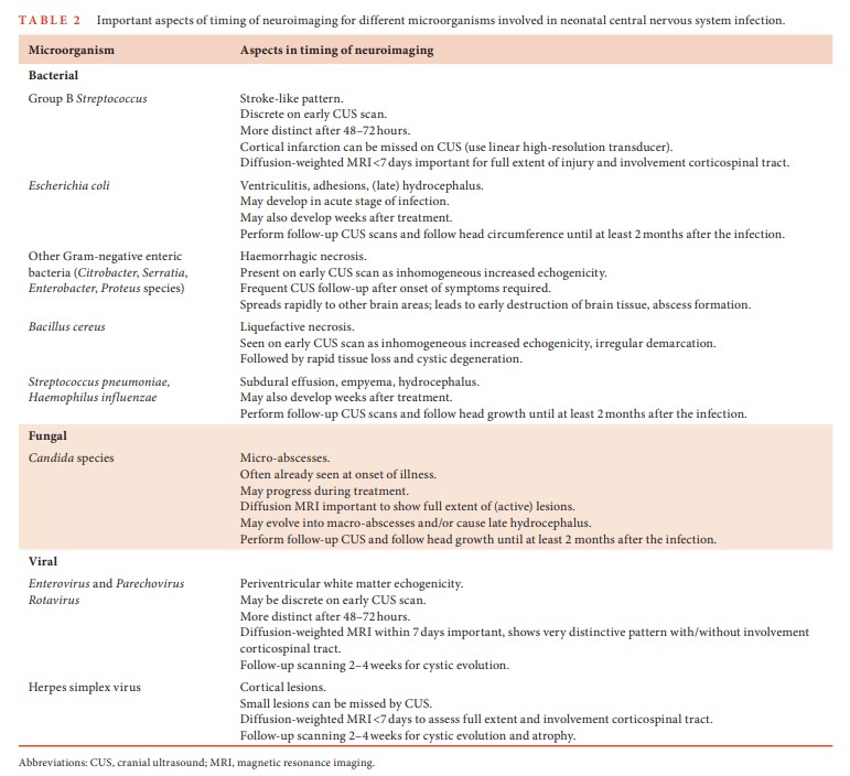 JordiRoldanB's tweet image. Do you routinely use cranial ultrasound?
We do — and for good reason.
As a screening and monitoring tool, it's incredibly effective in selected neonatal cases.
This paper is worth reading — findings can be trickier than they seem 🧠📖
#PedsRad
🟢🔓pmc.ncbi.nlm.nih.gov/articles/PMC12…