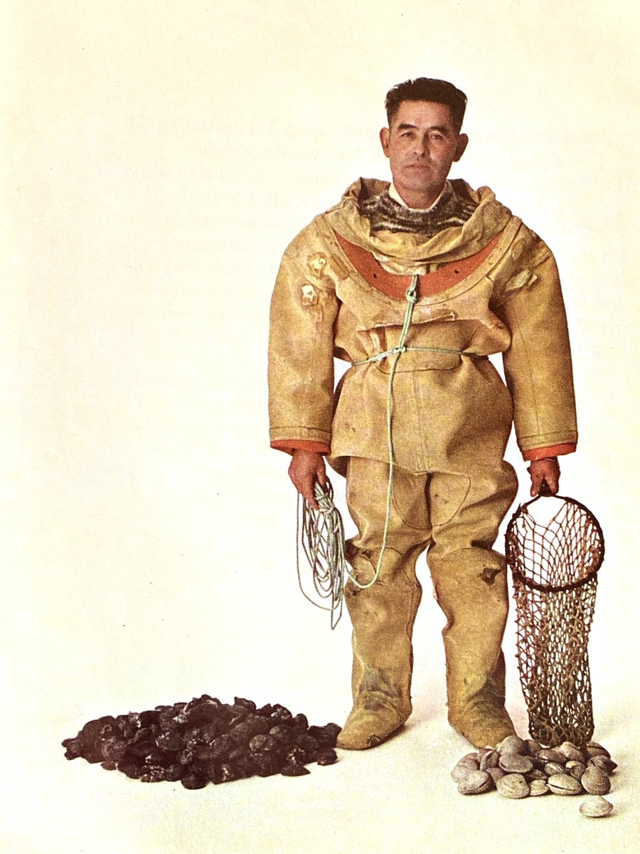 DonPaviolo's tweet image. Llegó a mis manos este ejemplar de fotos de varios oficios tradicionales chilenos. ¿Qué pasó en el camino, me pregunto? 
Por favor, échele un vistazo a este hilo.
@RenzoVaccarezza  @TomCast27757620 
(parte 1)