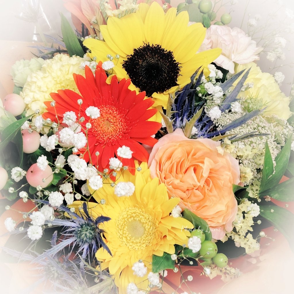 dremifa29's tweet image. おはようございます~🍀
昨夜は星空がとても綺麗でした
今日もいいお天気になりそうです
…そして暑そう…☀( *¯ㅿ¯*)🎐は
今日も よろしくお願いします
笑顔いっぱいの一日をお過ごしくださいね~🌻👒⸜(*ˊᵕˋ* )
#TLを花でいっぱいにしよう