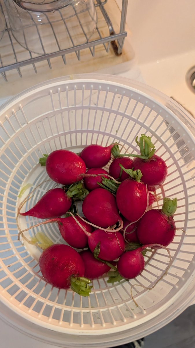 huangkm's tweet image. I love fresh on sale ingredients. I am slowly getting used to eating more veggies since it is also cheaper. Found a way to make a tasty rice paper dessert with just egg and banana. My original intent was making egg tart. But, gota used what you have!