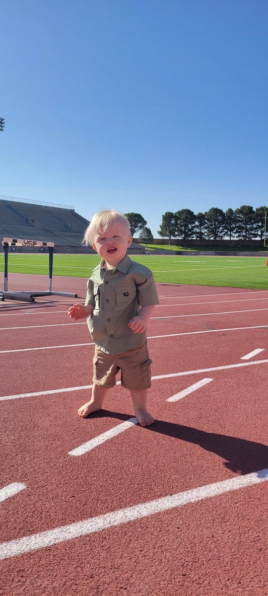 Mitchel Davis tweet media