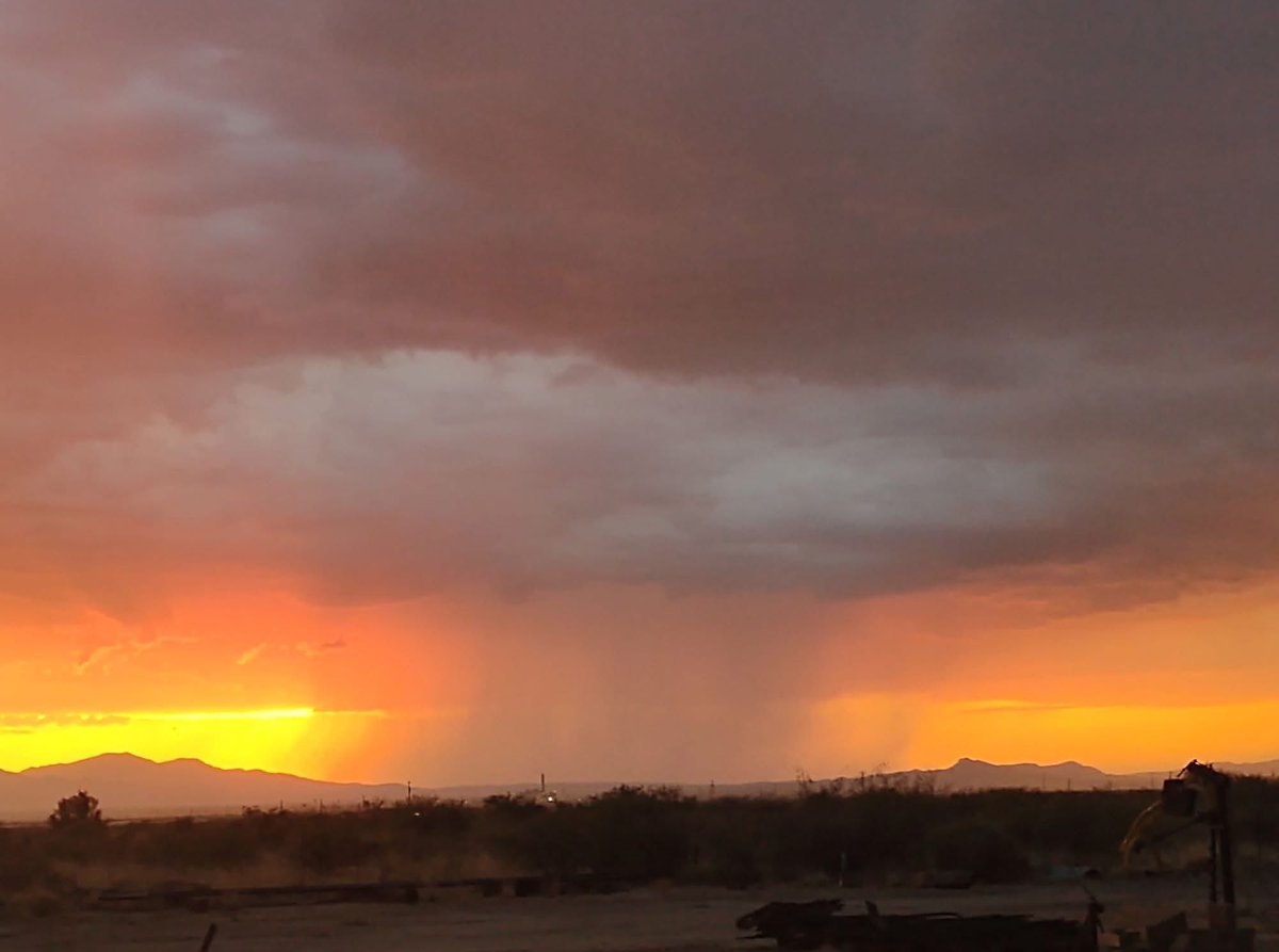 SierraVistaLIVE's tweet image. Welcome to Cochise County 🤩
Photos from Tombstone, Elfrida, Willcox, and Sierra Vista