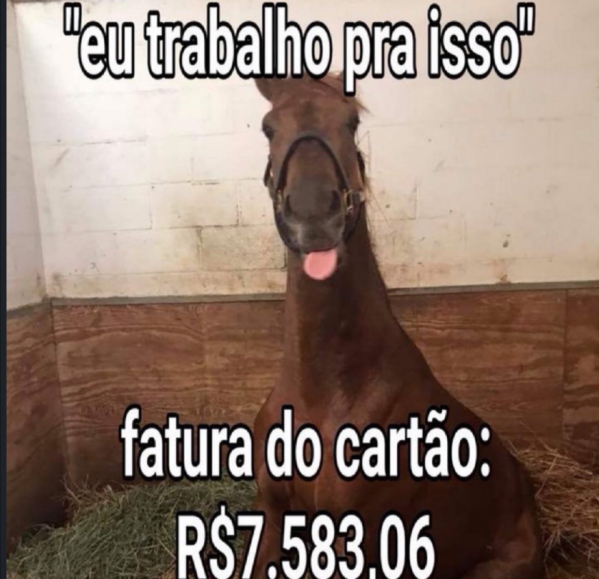 shitpostverdade's tweet photo. https://t.co/8DQQ6SAYyL