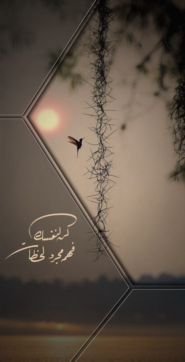 nor70_'s tweet photo. ﴿ وأَن لَّيْسَ لِلْإِنسَانِ إِلَّا مَا سَعَىٰ ﴾
 فإن الإنسان لا يملك إلا سعيه، لا سعي غيره! https://t.co/jyo78nuD0v