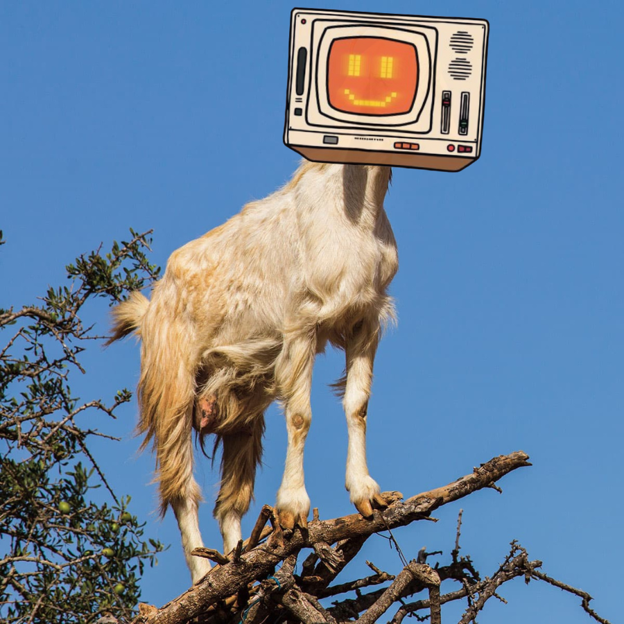 0xDialethia's tweet image. To be a GOAT, sometimes you gotta step out on a limb.
@bankrbot buy me $250 of $BMX