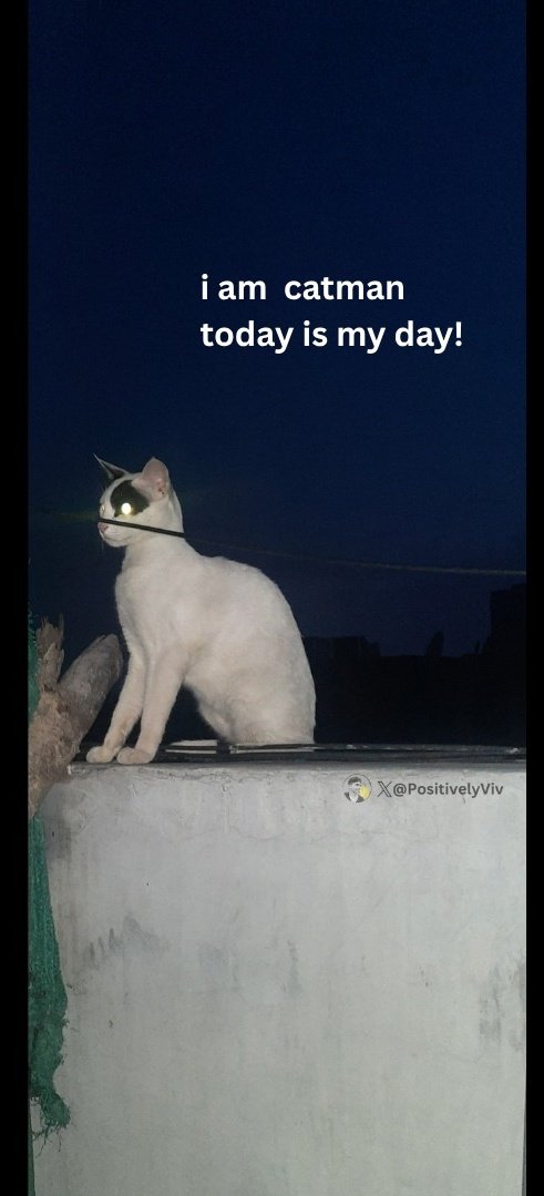 PositivelyViv's tweet image. He is onto something.
I don't know yet.
Those laser sharp eyes.
I can't forget.