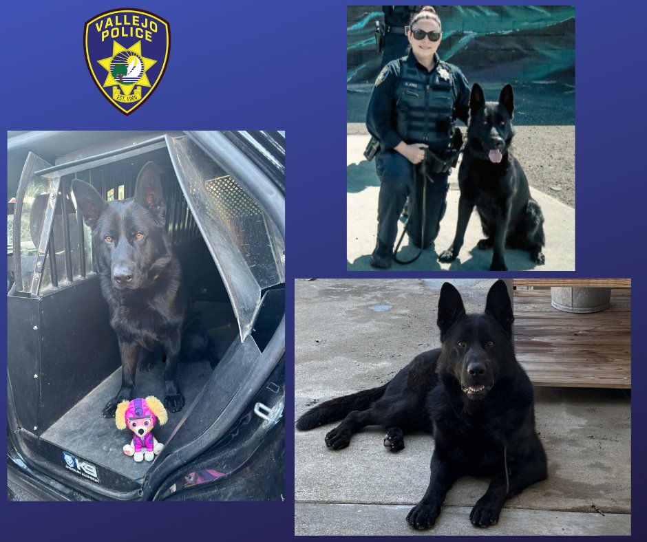 Vallejo Police Department (@vallejopd) on Twitter photo 