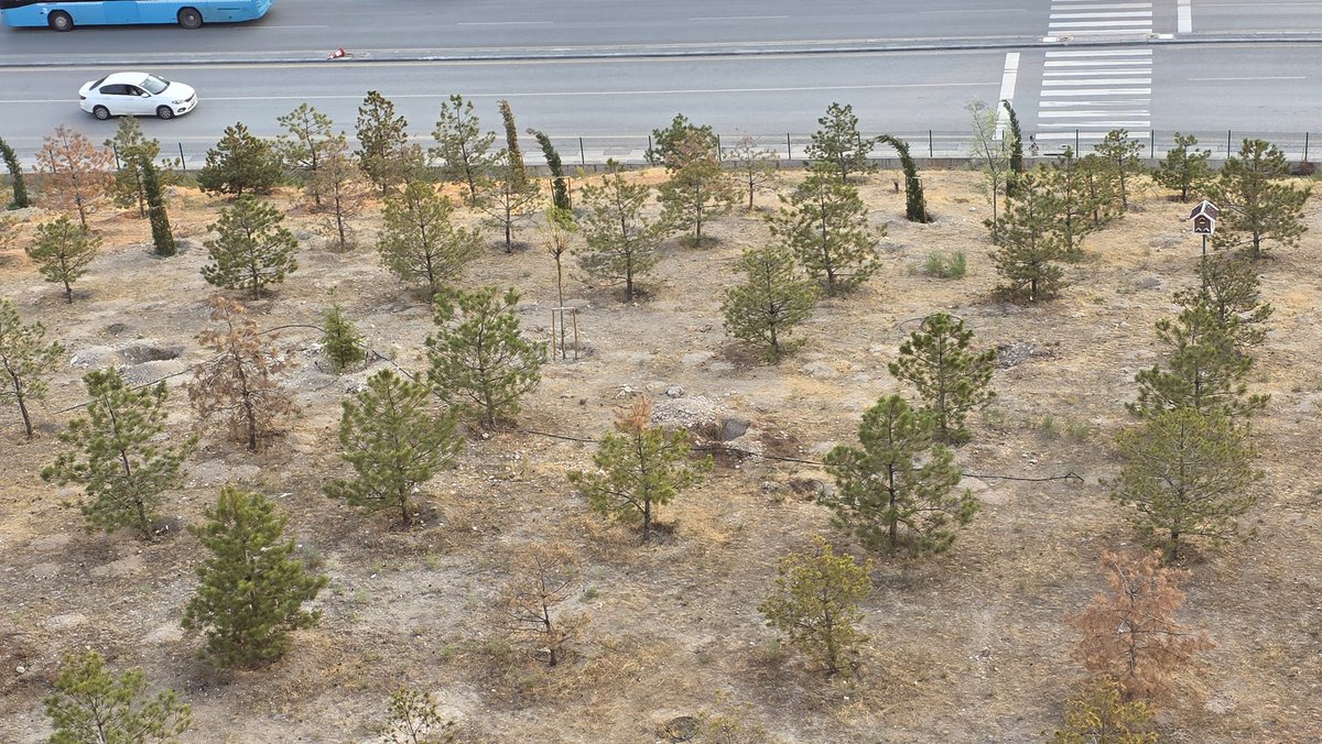 Bir zahmet buralara bakın be kardeşim. <a href="/etimesgutbld/">Etimesgut Belediyesi</a> <a href="/erdalbeskcioglu/">Erdal Beşikcioğlu</a> Sayın başkan...