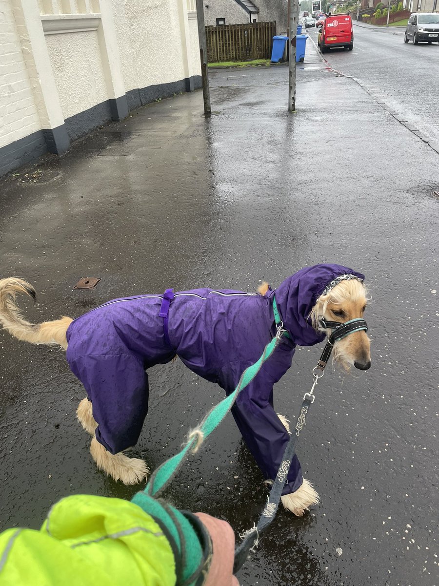 Purple Rain Purple Rain…Coat