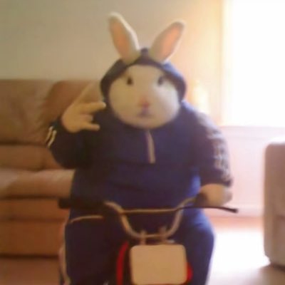 alex tweet media